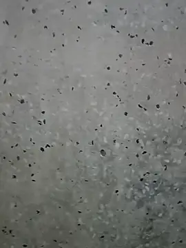 Mr xxx007xh online show from 1, 3, 2026