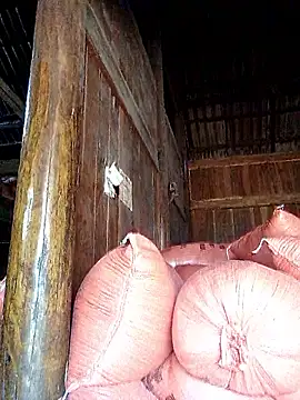 hera-00 online show from 20, 9, 2025