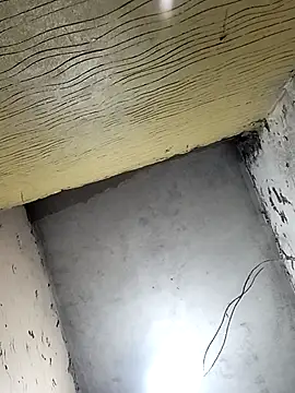 Bebicho14 online show from 1, 4, 2026