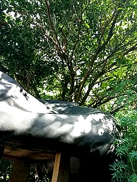 AlphaAlterX online show from 16, 12, 2025