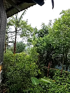 ALIENHR38 online show from 26, 4, 2026