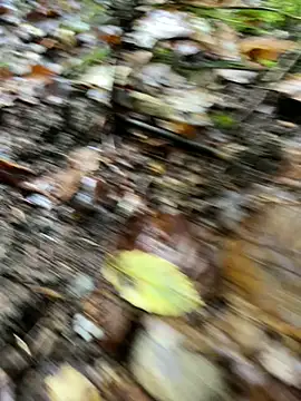 andymatthisbwc online show from 5, 10, 2025