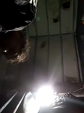 hairy mannn online show from 29, 11, 2025