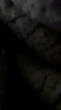 LanaAce719 online show from 13, 10, 2025