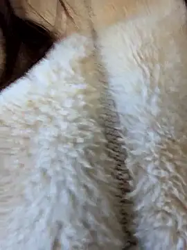 sexy7883 online show from 13, 3, 2026