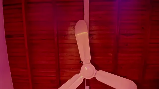 Gabby Haze online show from 14, 12, 2025