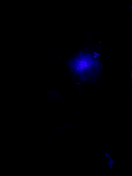 johnboones10 online show from 22, 10, 2025