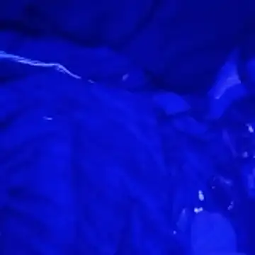 Snapshot of johnboones10 chatting on 4, 3, 2026 johnboones10 online show from 4, 3, 2026