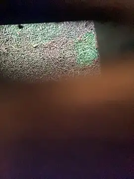 Adele Pinkk online show from 12, 11, 2025