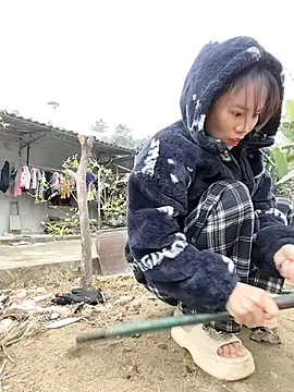 Tin tanny online show from 8, 1, 2026