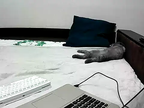 black lany online show from 22, 9, 2025