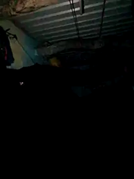 CUTE-004 online show from 20, 4, 2026