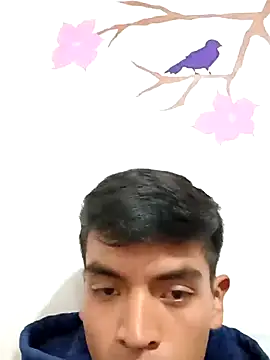 Snapshot of DavidVergagigante420 chatting on 5, 11, 2025 DavidVergagigante420 online show from 5, 11, 2025