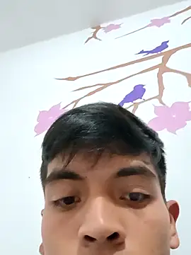 Snapshot of DavidVergagigante420 chatting on 6, 11, 2025 DavidVergagigante420 online show from 6, 11, 2025