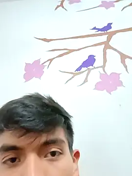 Snapshot of DavidVergagigante420 chatting on 17, 11, 2025 DavidVergagigante420 online show from 17, 11, 2025