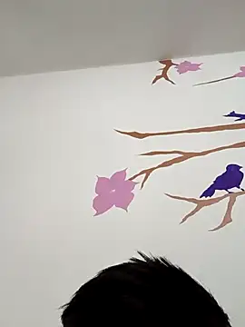 Snapshot of DavidVergagigante420 chatting on 17, 12, 2025 DavidVergagigante420 online show from 17, 12, 2025