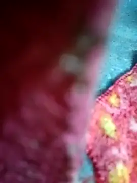 Sharmili xx online show from 25, 9, 2025