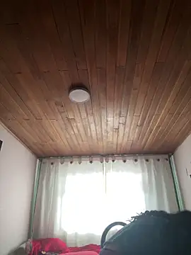 XBODTRIIPX online show from 3, 3, 2026