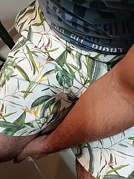 Snapshot of Gallo001 chatting on 5, 3, 2026 Gallo001 online show from 5, 3, 2026