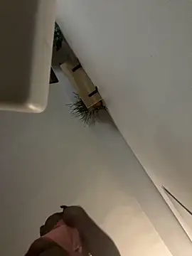 Snapshot of littyleesh1 chatting on 14, 4, 2026 littyleesh1 online show from 14, 4, 2026