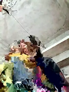 Cm pooja online show from 10, 1, 2026