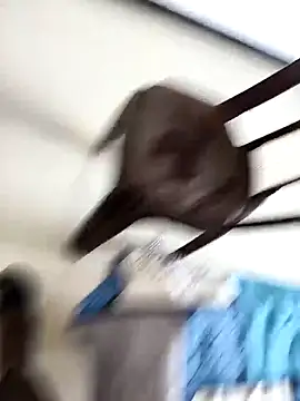 Snapshot of Chanderi19 chatting on 30, 9, 2025 Chanderi19 online show from 30, 9, 2025