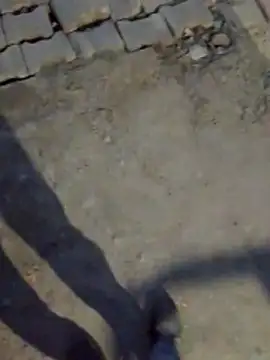 haryanaboypanipat12 online show from 17, 3, 2026