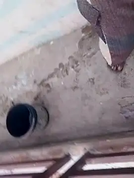 haryanaboypanipat12 online show from 3, 4, 2026