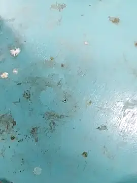 haryanaboypanipat12 online show from 9, 4, 2026