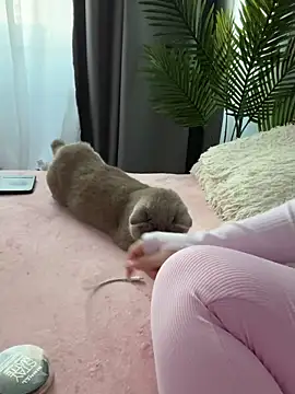 Andrestarr online show from 14, 3, 2026