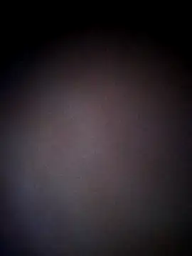 thehotlady online show from 24, 10, 2025