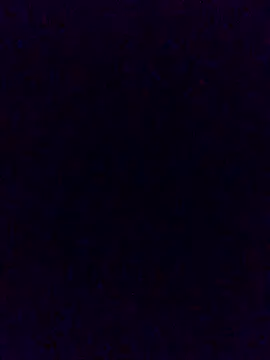 Cachorrinha2025 online show from 21, 11, 2025