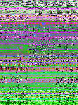 MaddyX   online show from 15, 11, 2025