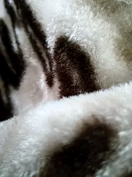 bold guy 1234 online show from 17, 12, 2025