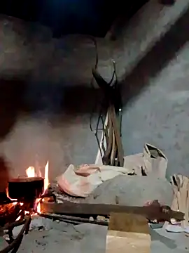 donna-bae online show from 16, 4, 2026