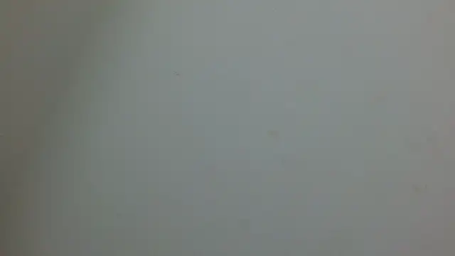 Snapshot of cristal1609 chatting on 14, 5, 2026 cristal1609 online show from 14, 5, 2026