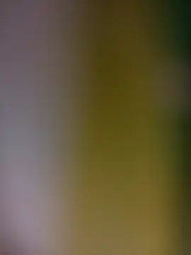 tulipsexy online show from 19, 2, 2026