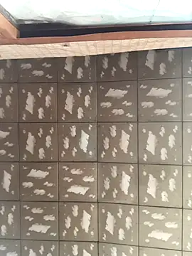 pualldu online show from 23, 11, 2025