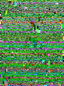 Alan18cmsafado online show from 22, 9, 2025