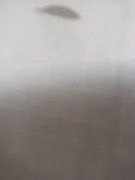 ipvk online show from 5, 3, 2026