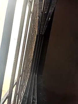 ipvk online show from 22, 3, 2026