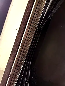 ipvk online show from 25, 3, 2026