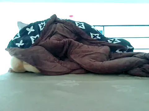 loveninja online show from 8, 11, 2025