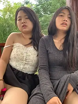 taotao 19 online show from 26, 9, 2025