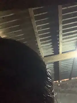 Halyy xx online show from 17, 1, 2026