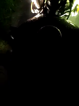 Snapshot of DICKLANKA chatting on 15, 4, 2026 DICKLANKA online show from 15, 4, 2026