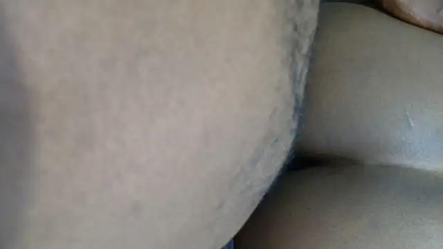 Dandelion enigman online show from 10, 10, 2025