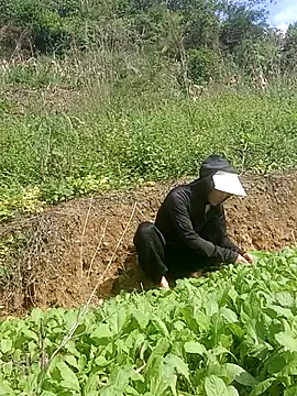 Snapshot of Norah-h chatting on 30, 10, 2025 Norah-h online show from 30, 10, 2025