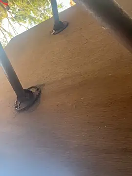 plmqazplmqaza online show from 13, 3, 2026