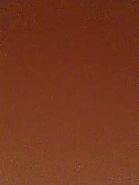 tiago1981pt online show from 21, 9, 2025